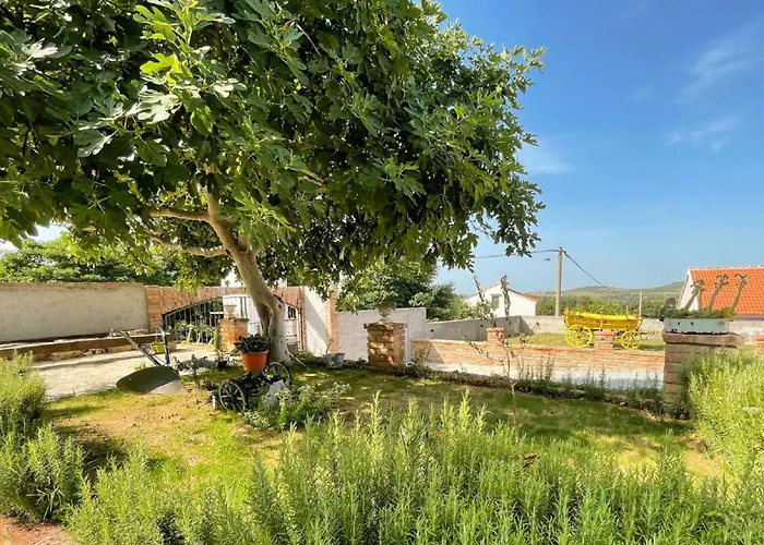 Σπίτι διακοπών Meri By Interhome Benkovac